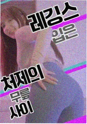 四季食堂治愈美食剧集在线观看